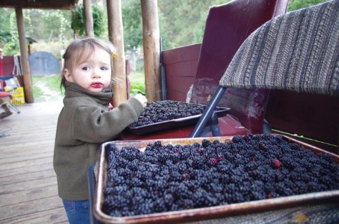 Loving the fresh fruit in season!