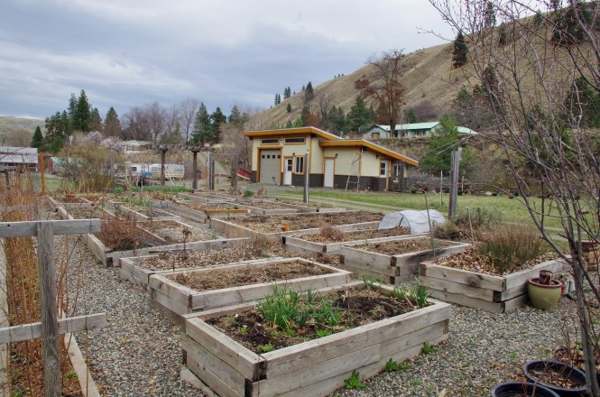 The garden in March.